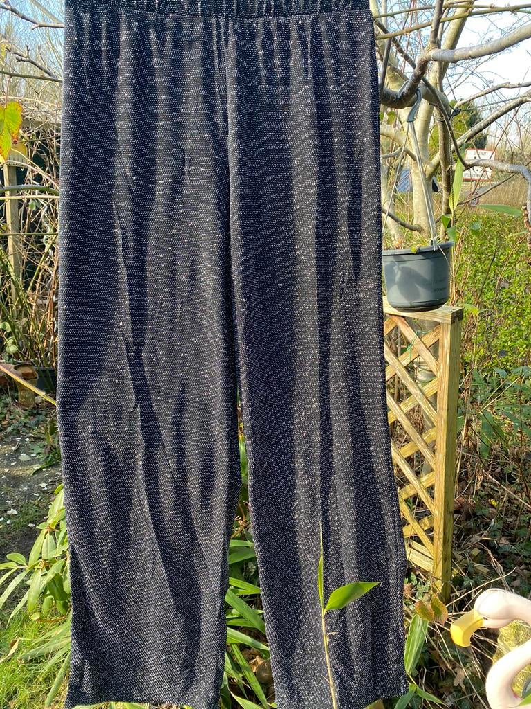 Feestelijke glinsterende broek, medium, Enlèvement ou Envoi