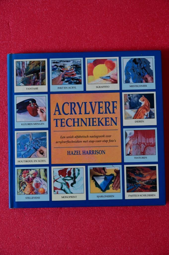 Acrylverf technieken, Ophalen of Verzenden, Gebruikt, Acrylverf