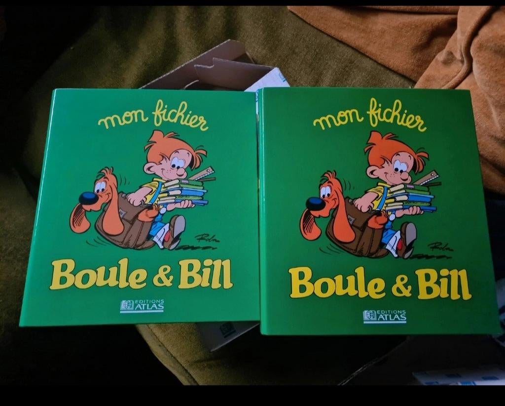 Fichiers de français Boule et Bill, Français