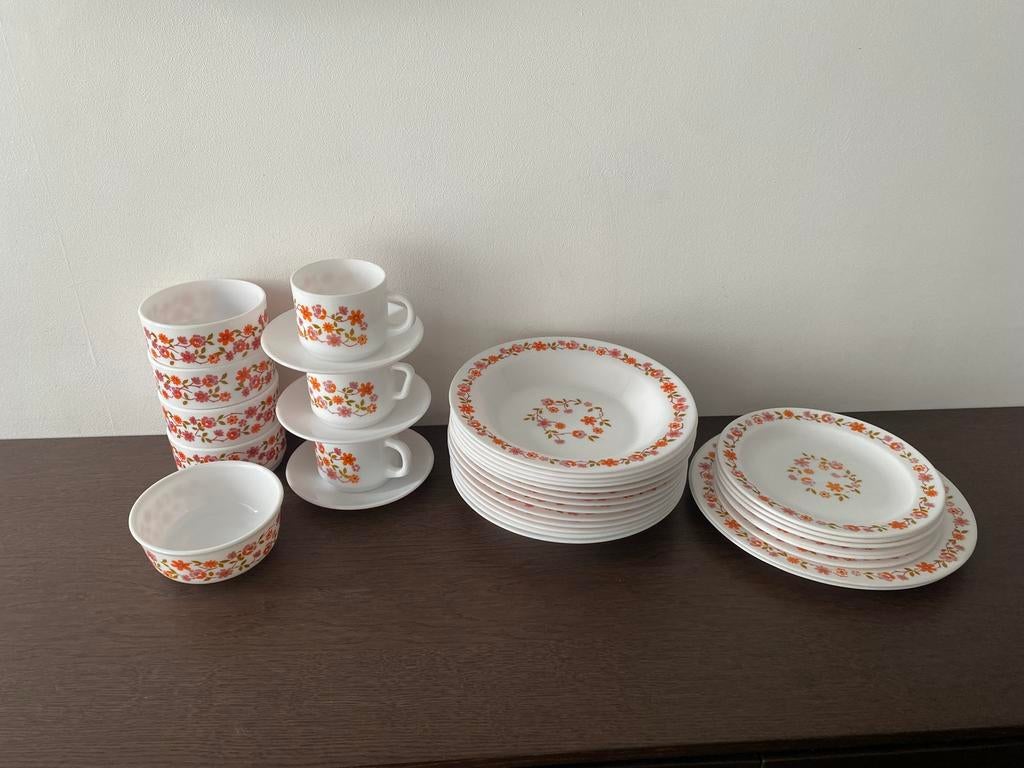Vintage servies arcopal Scania, Ophalen