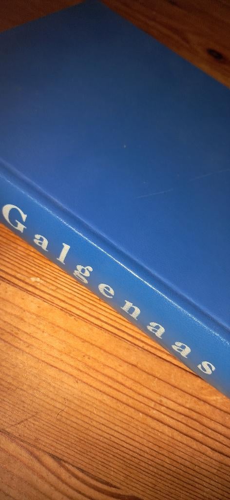 Boek detective ´Galgenaas´ van J. Flanders, Boeken, Ophalen, Zo goed als nieuw, John Flanders