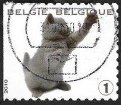 1 Postzegel Kitten België 2010 Uit het nest, Frankeerzegel, Ophalen of Verzenden, Gestempeld, Gestempeld
