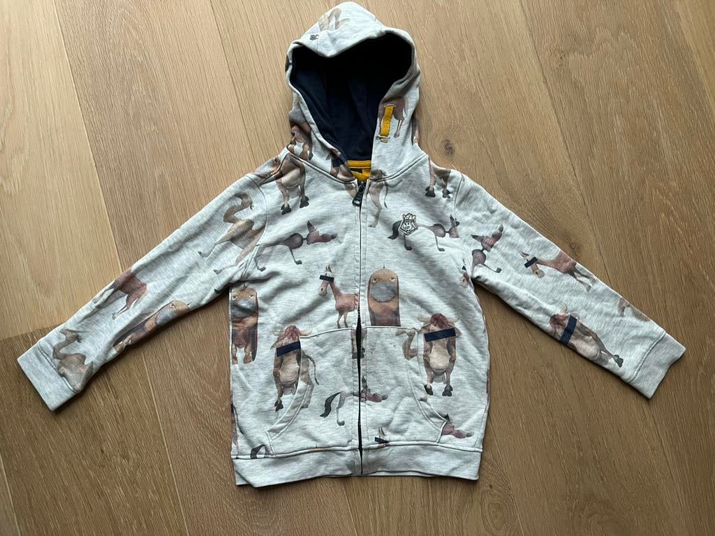 Pull / trui maat 110 van Wickie van Studio 100, Kinderen en Baby's, Kinderkleding | Maat 110, Gebruikt, Jongen of Meisje, Trui of Vest