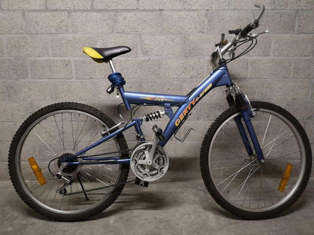 Twee Fietsen, Blauw, van Particulier, Enlèvement, Utilisé, Hommes