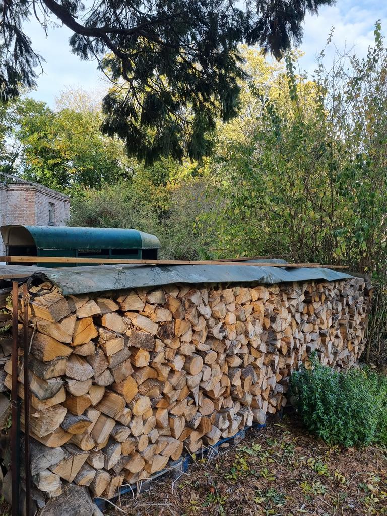 Droog brandhout - Eik - Beuk - 40/50 cm, 6 m³ of meer, Ophalen, Eikenhout, Blokken