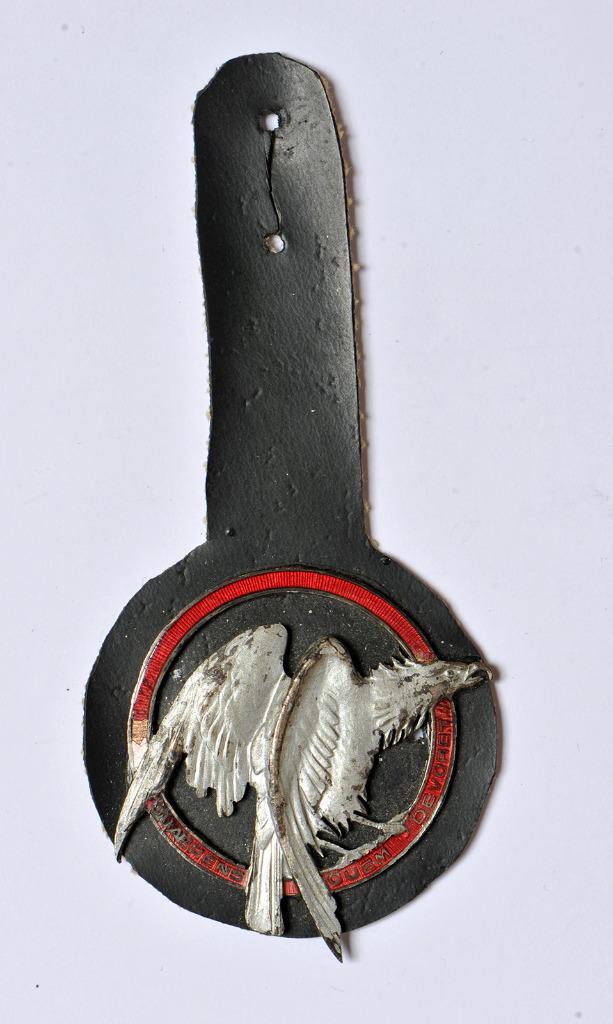 51 Smaldeel / 13 Wing Missiles - borsthanger (1), Verzenden, Luchtmacht, Embleem of Badge