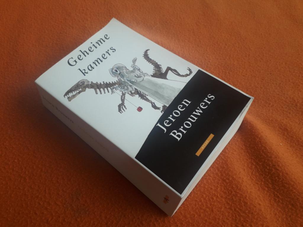 Jeroen Brouwers, Enlèvement ou Envoi