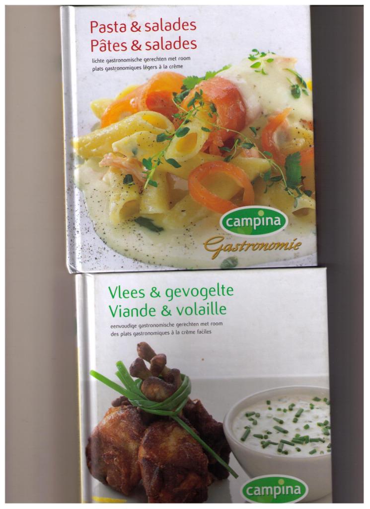 Pasta & salades - 20 lichte gastronomische gerechten met roo, Verzenden, Nieuw, Collectif, Europa
