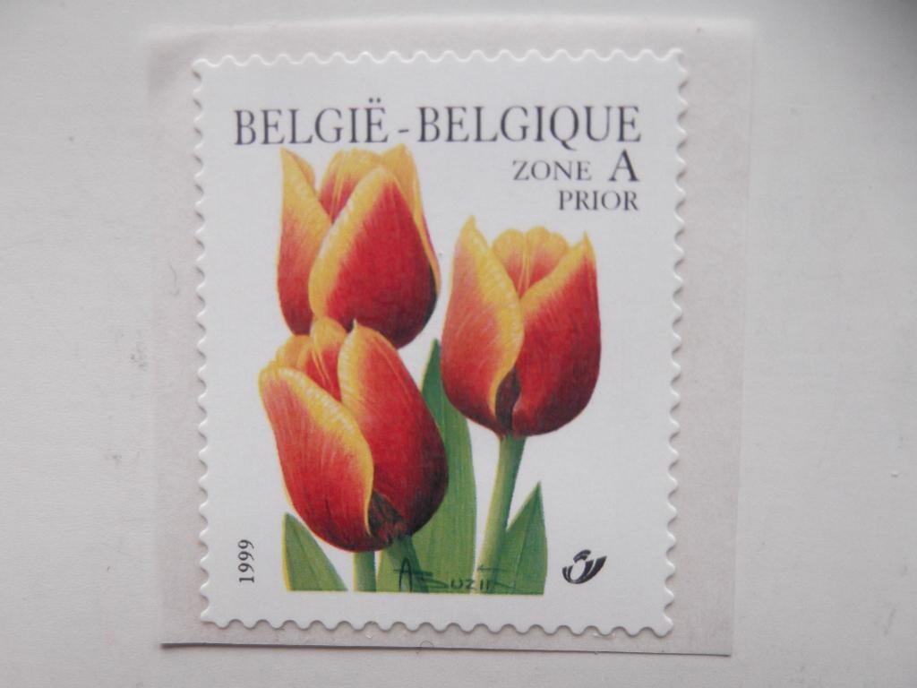 R92 (2855) Tulp Triomf - Tulipe Triomphe, Ophalen of Verzenden, Postfris, Frankeerzegel