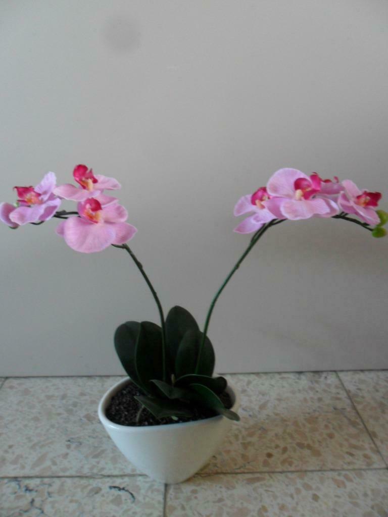Kunst orchidee, Enlèvement