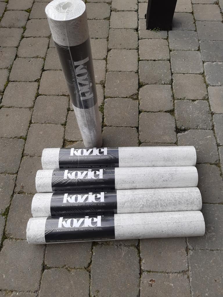 Behangpapier Nieuw 5 rollen, Huis en Inrichting, Stoffering | Behang, Ophalen of Verzenden, 25 tot 50 m², Grijs