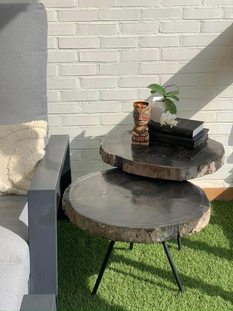 Petrified Wood Coffee Table, Enlèvement, Comme neuf