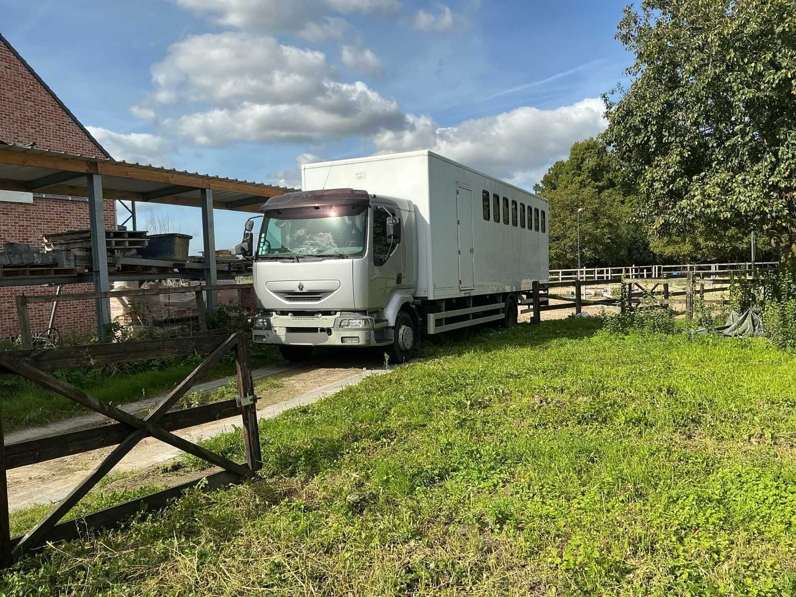 Renault 44ACA3 Camion à chevaux 2014, Achat, Entreprise, Euro 3, Autres carburants