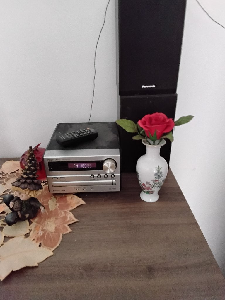Radio cd speler vandaag ophalen20 euro, Enlèvement, Utilisé, Radio
