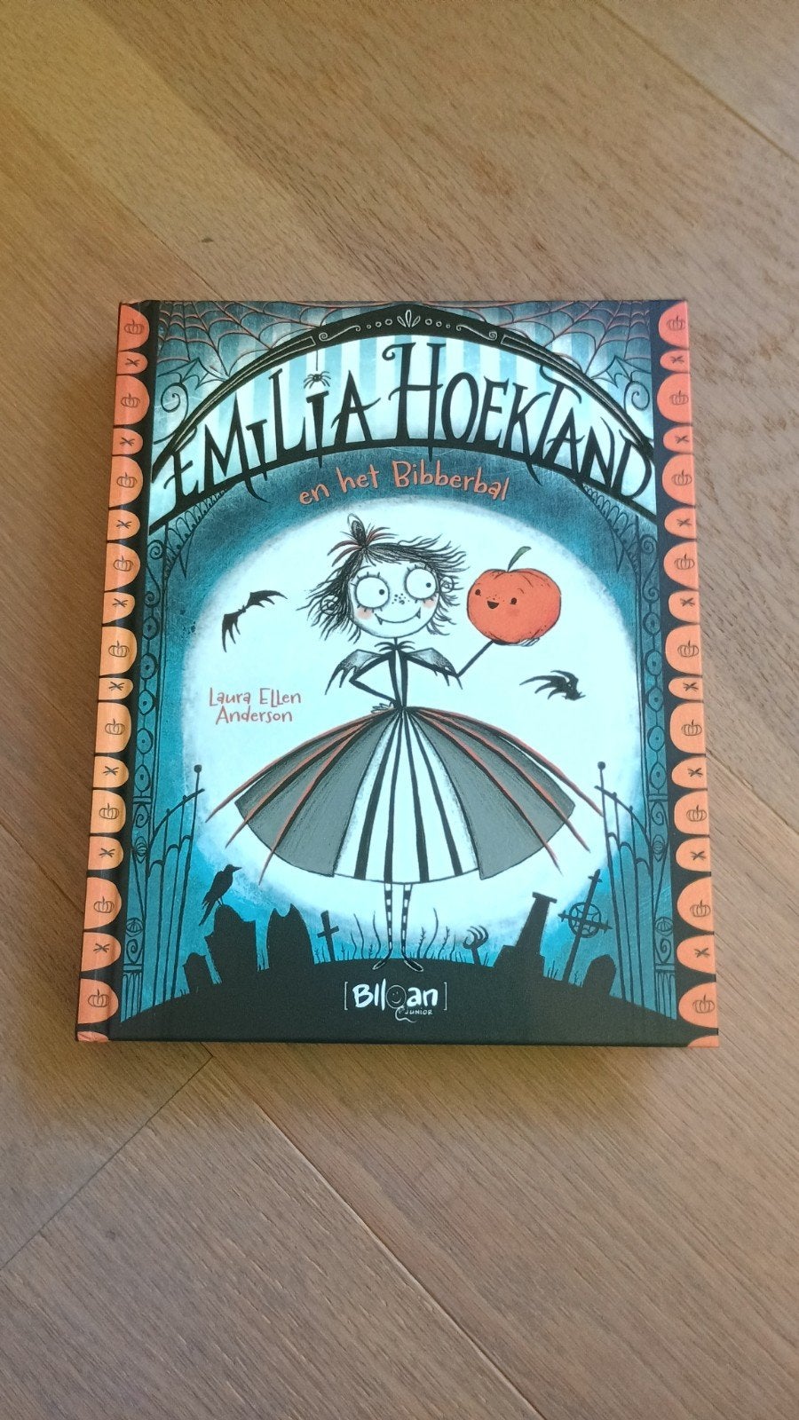 Boek Emilia Hoektand en het bibberbal, Ophalen, Zo goed als nieuw