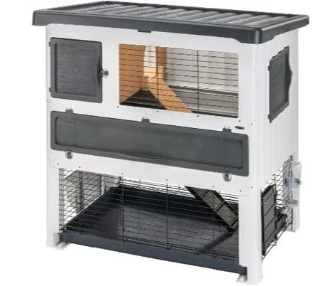 konijnhok + 2 konijnen, Dieren en Toebehoren, Konijnen, Vrouwelijk, Groot