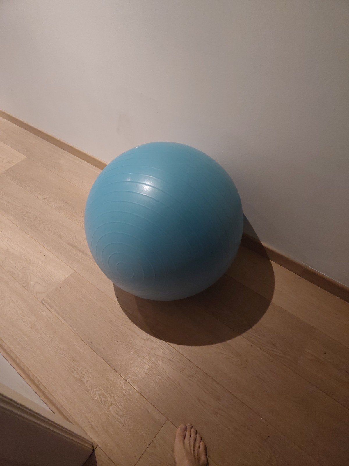 Zitbal / fitnessbal 55 cm decathlon, Ophalen
