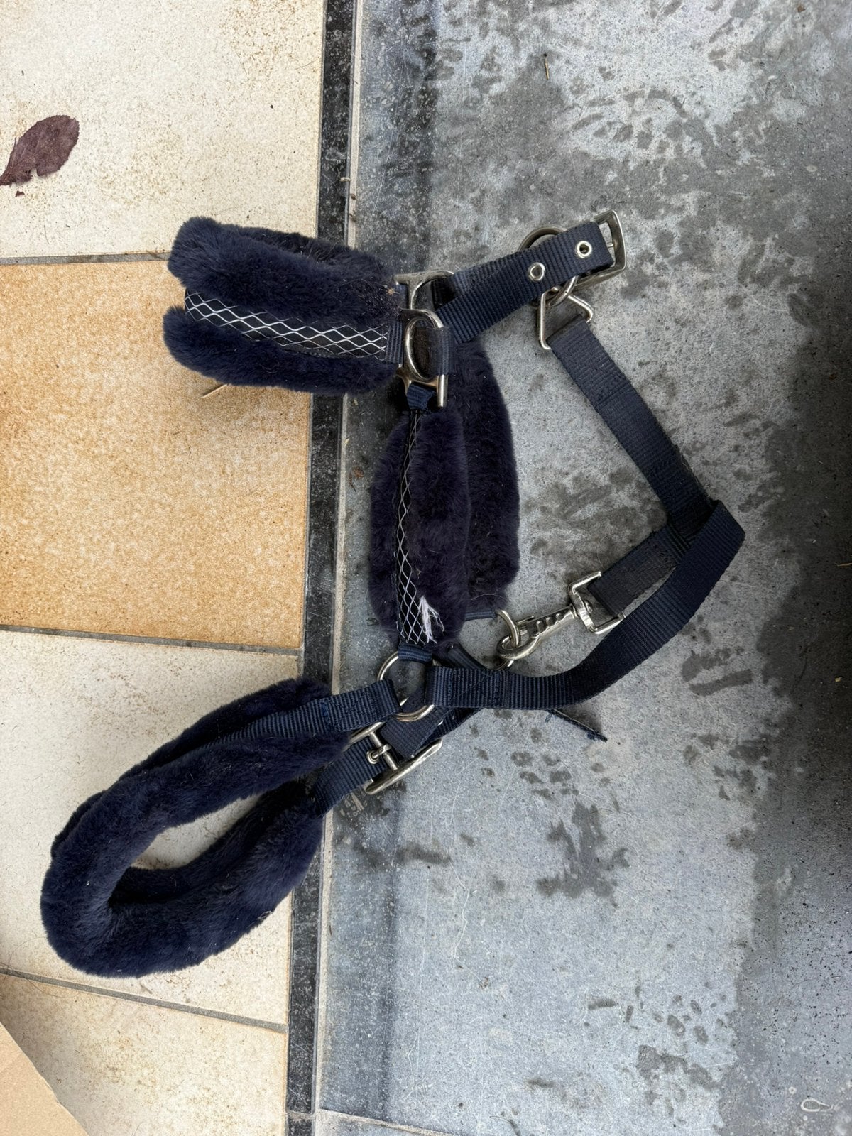 Paardenspullen te koop, Enlèvement ou Envoi, Utilisé, Autres types