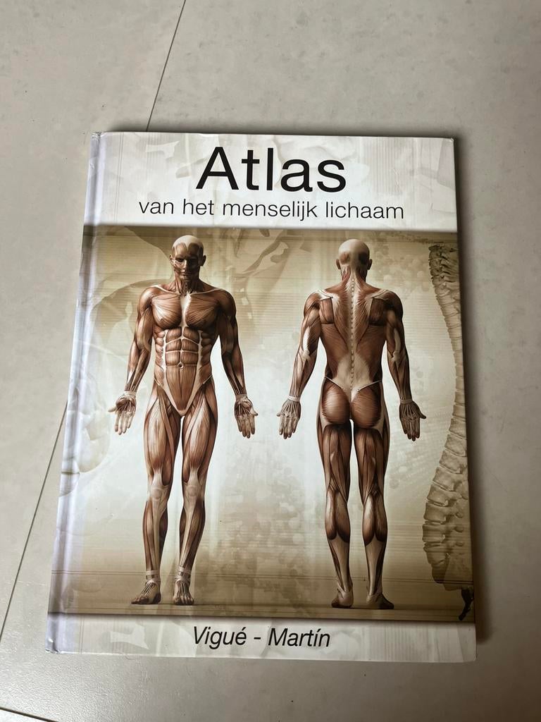 Atlas van het menselijk lichaam, Boeken, Ophalen of Verzenden, Gelezen, Studie en Technieken