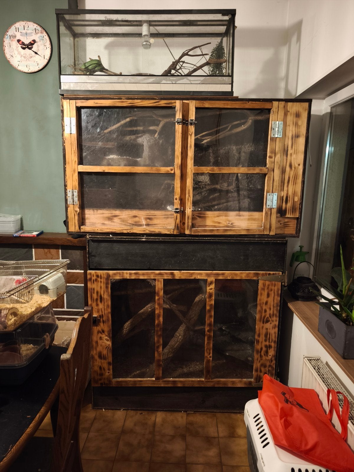 Terrarium, Animaux & Accessoires, Reptiles & Amphibiens | Accessoires, Enlèvement