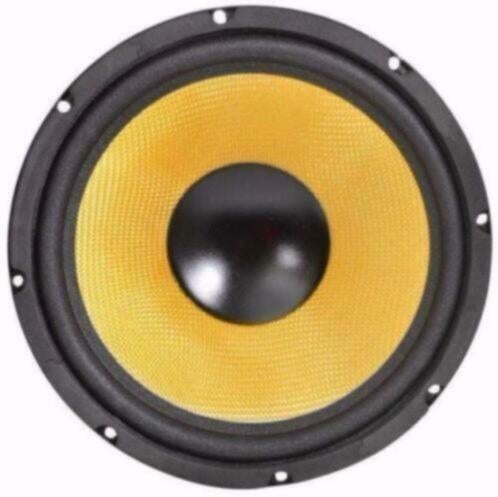 Subwoofer Kevlar 25 Cm 200 Watt 4 Ohm [583-UKKJ], Ophalen of Verzenden, Nieuw, Overige typen