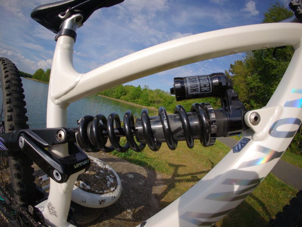 Canyon Torque AL 2024 Signature, Vélos & Vélomoteurs, Enlèvement