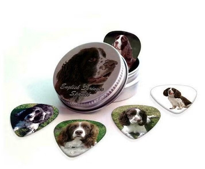 Blikje + plectrums afbeelding Engelse Springer Spaniel hond, Ophalen of Verzenden, Nieuw