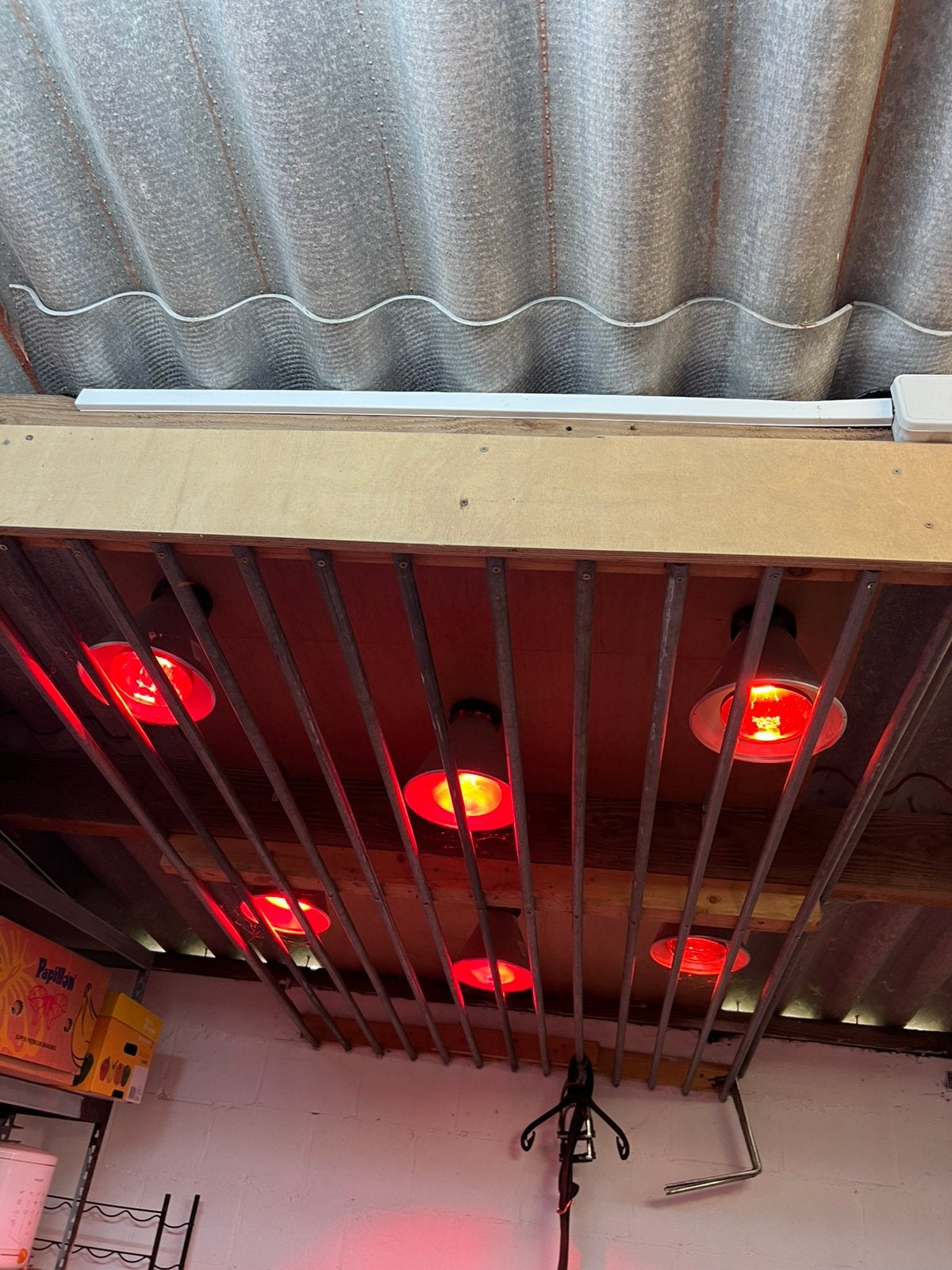 6x250Winfrarood warmtelampen met armaturen – paardensolarium, Dieren en Toebehoren