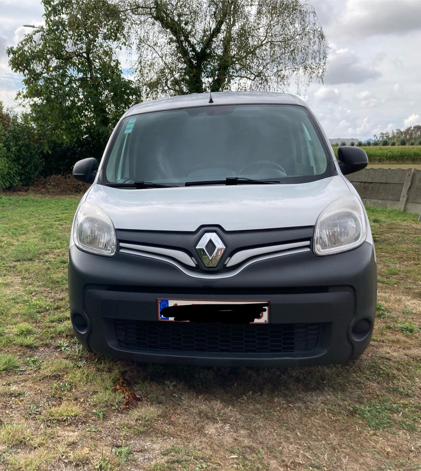 Renault Kangoo - camera, trekhaak, houten bekleding, Achat, Euro 6, Diesel, Particulier