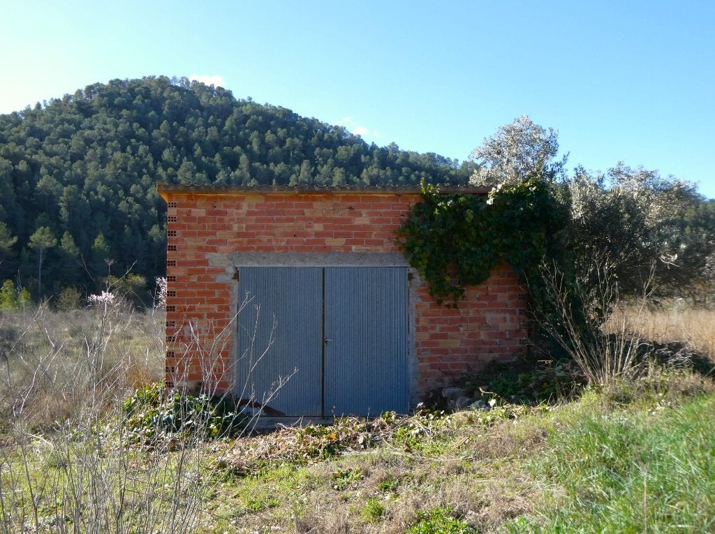 Finca à Caseres (Catalogne, Espagne) - 0991, Immo, Étranger, Autres types, Espagne, Campagne