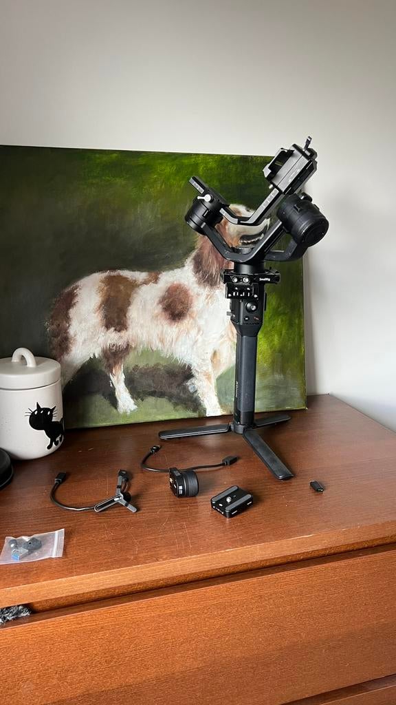 DJI Ronin S, Enlèvement, Utilisé