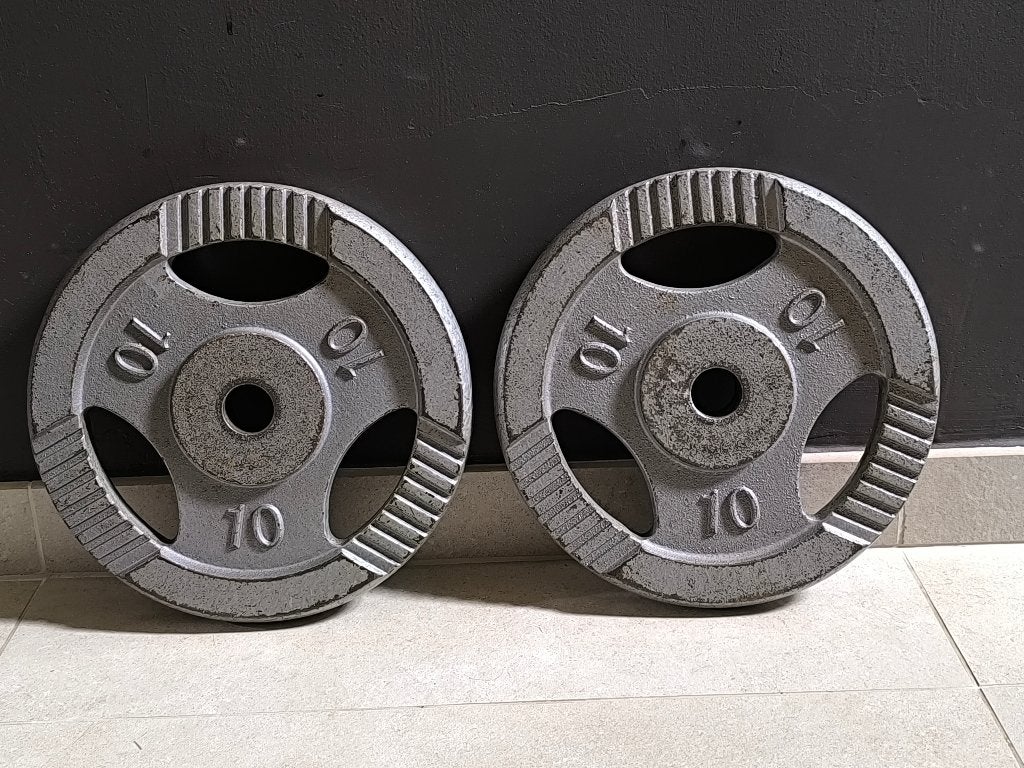 2 x 10kg plaques de musculation (30mm)., Enlèvement, Utilisé, Bras, Plaques d'haltères