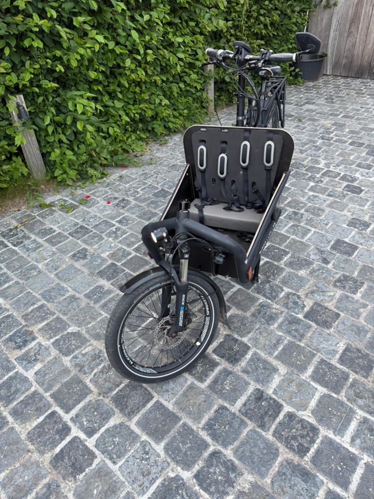 Riese & Müller Load 60 HS Vario -DualBattery - speed pedelec, Fietsen en Brommers, Huif, Zo goed als nieuw, 2 kinderen, Schijfrem