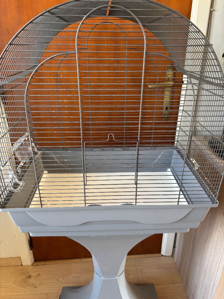 Cage oiseau, Enlèvement, Utilisé