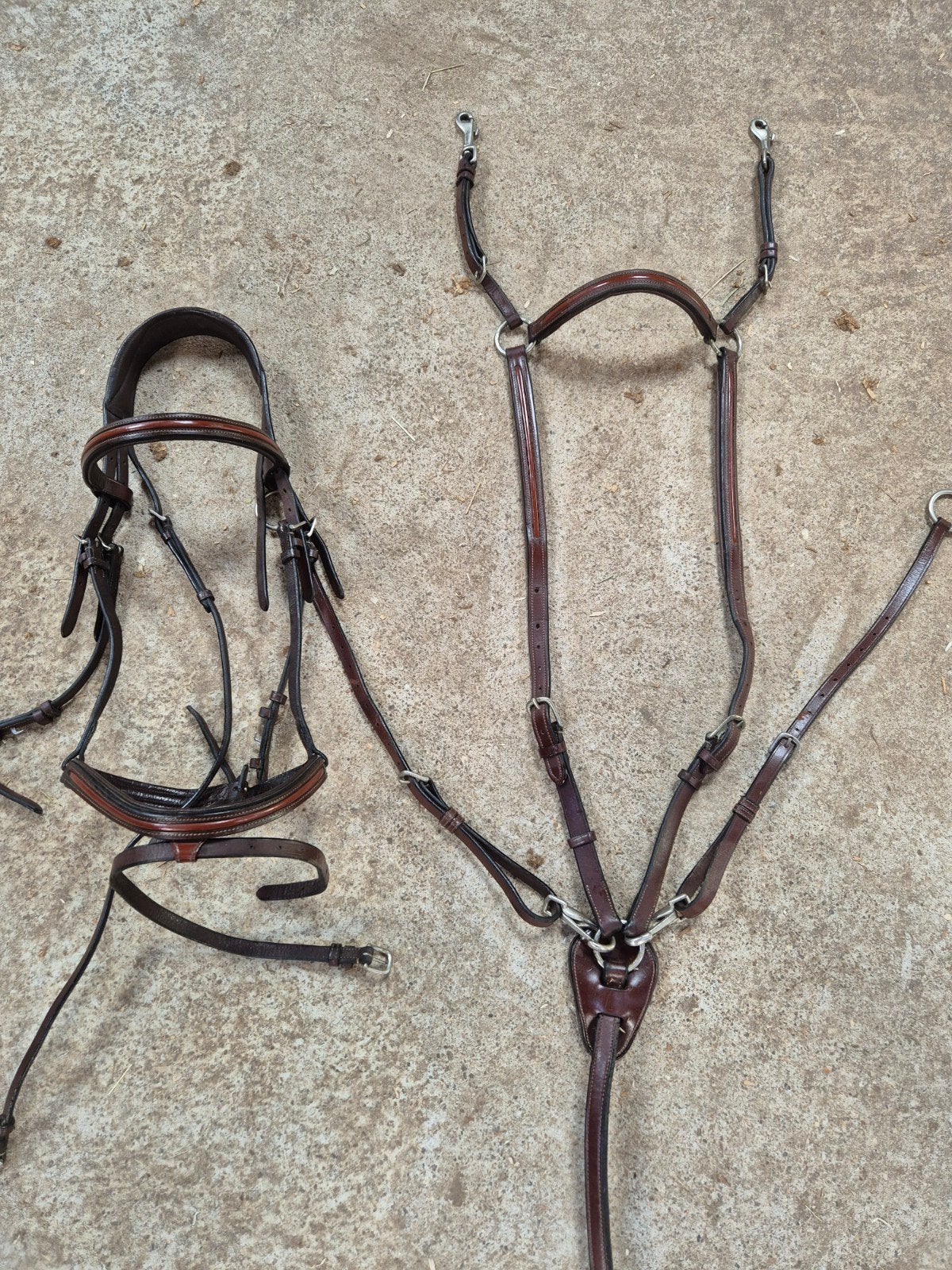 Set hoofdstel + borstriem bruin maat Cob Greenfield, Ophalen, Springen, Bruin, Cob