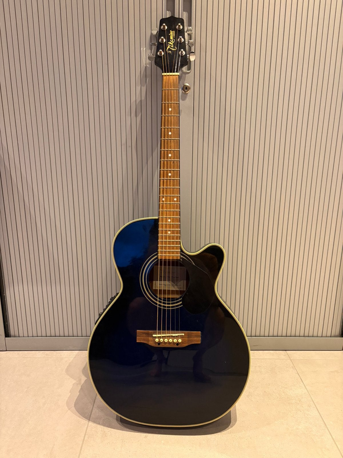 Takamine EG540C, Musique & Instruments, Enlèvement, Utilisé