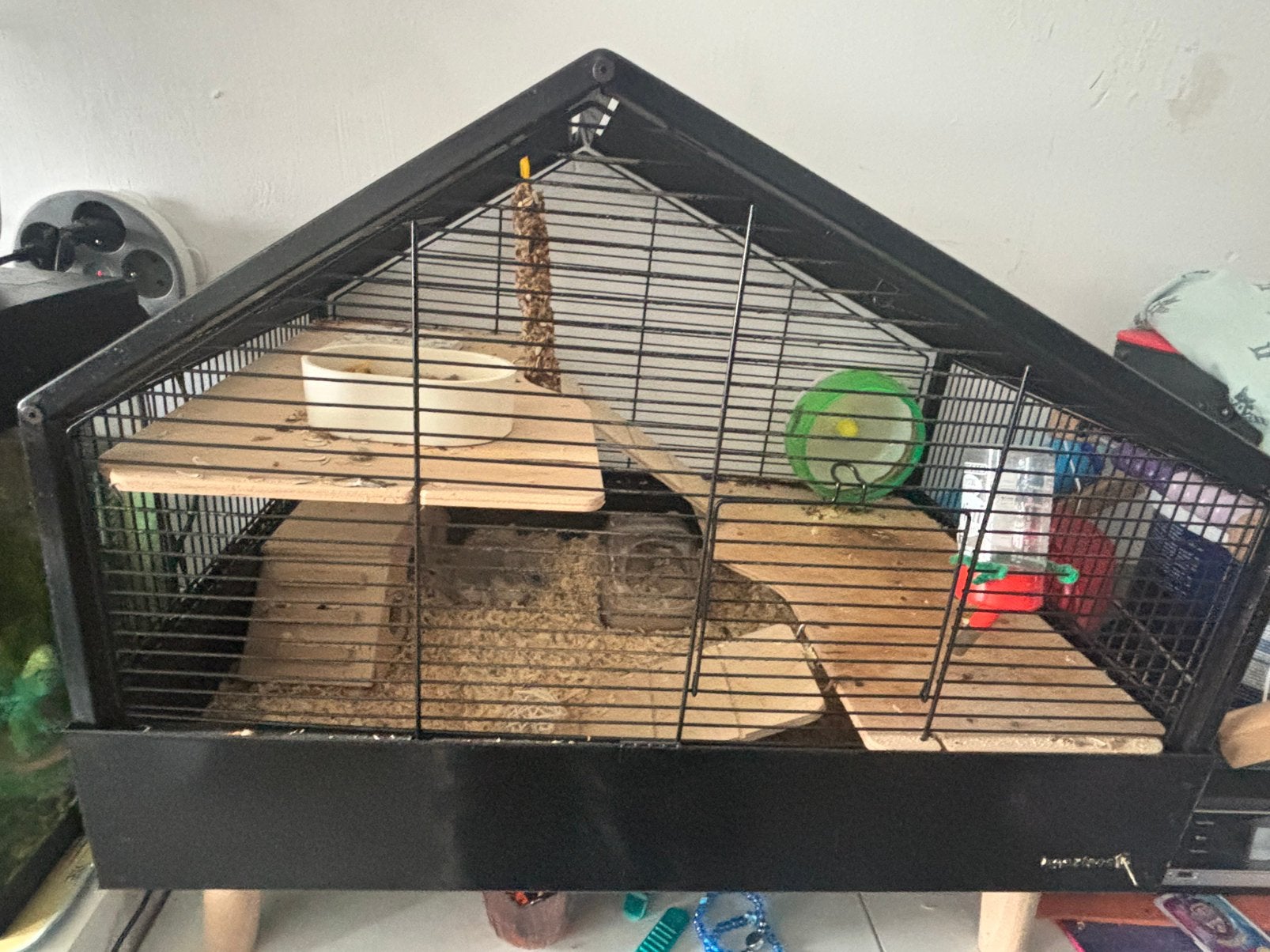 Hamster + kooi, Enlèvement, Comme neuf, Cage, Hamster