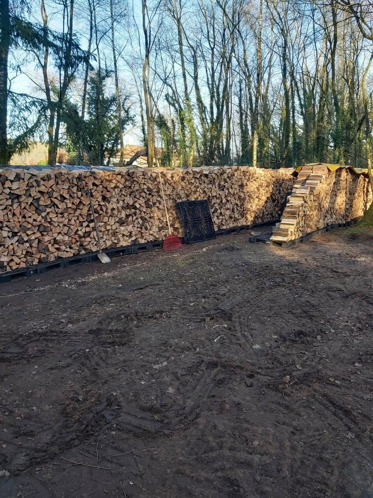brandhout eik en beuk, 6 m³ ou plus, Enlèvement, Hêtre, Bûches