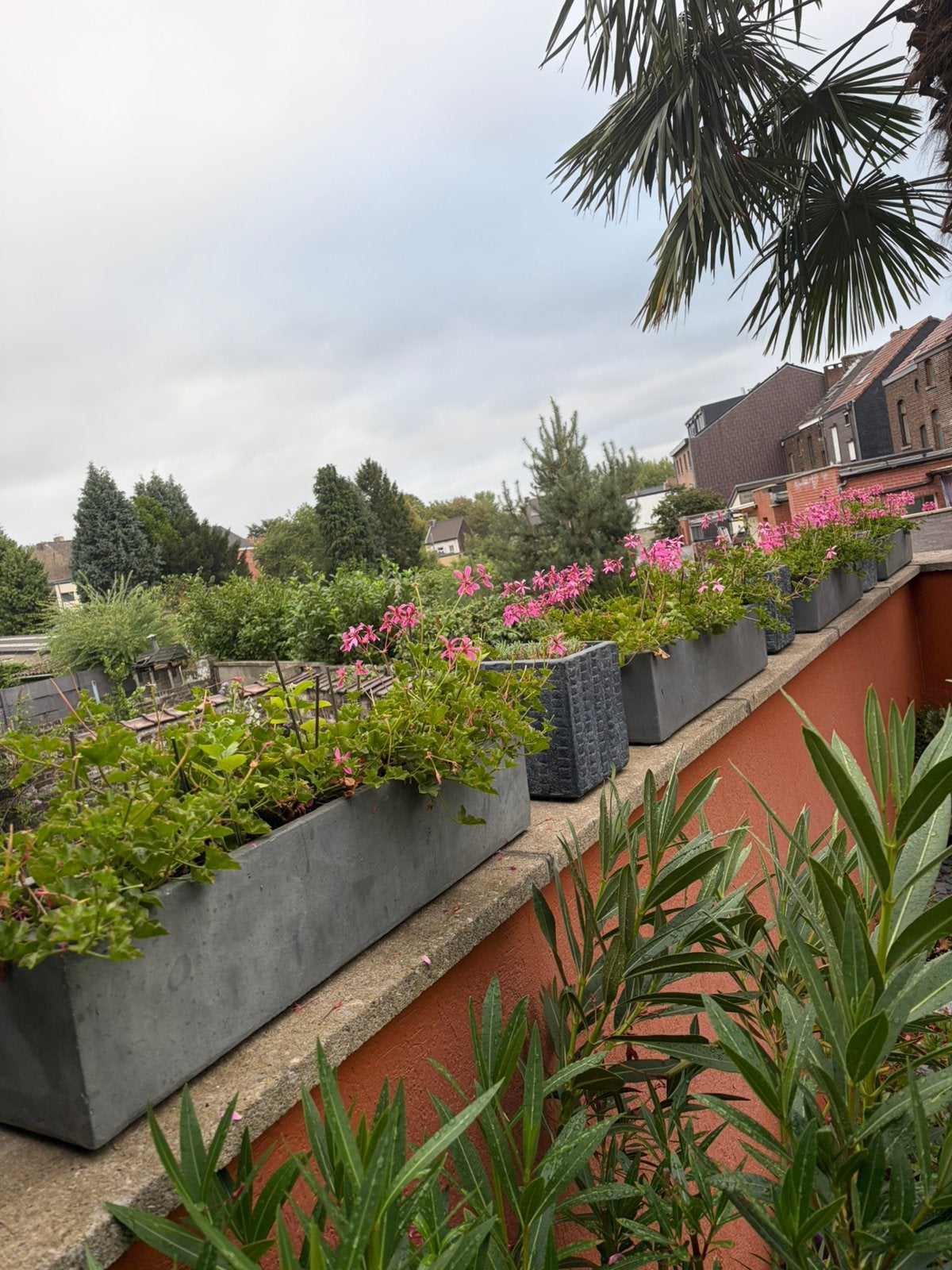A vendre lot de vasque avec  plante, Jardin & Terrasse, Enlèvement, Balcon