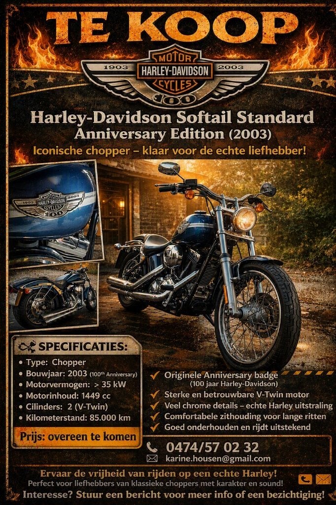 Harley Davidson, Particulier, Chopper