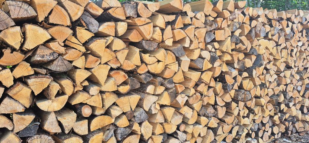bois de chauffage, Tuin en Terras, Brandhout, 3 tot 6 m³, Ophalen of Verzenden, Beukenhout, Blokken