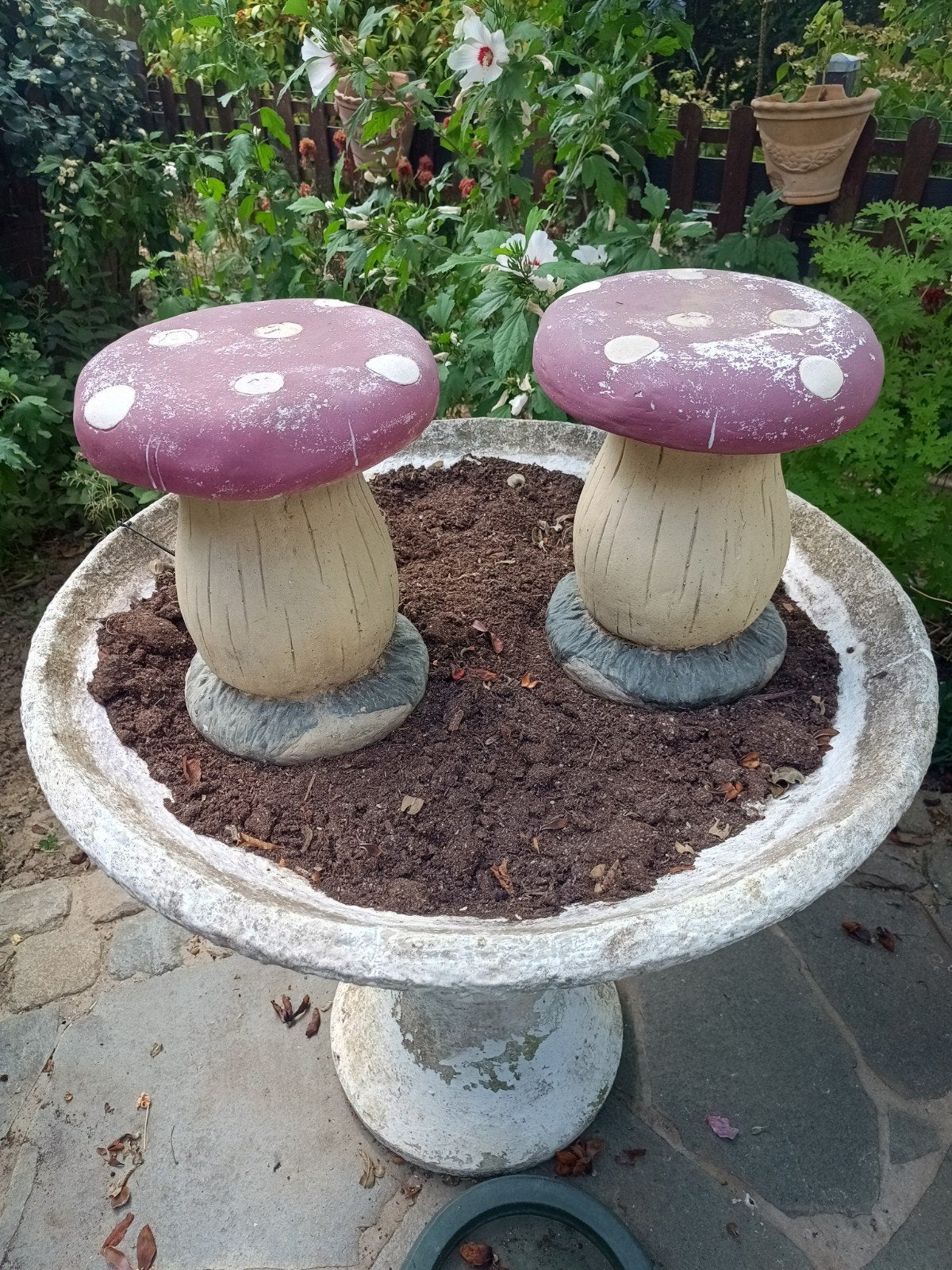 koppel paddestoelen, Enlèvement, Utilisé