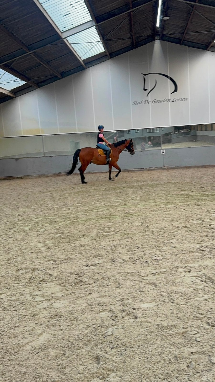 Opzoek springpaard/ springpony d!!!, Animaux & Accessoires, Chevaux & Poneys | Produits de soin, Comme neuf, Enlèvement ou Envoi