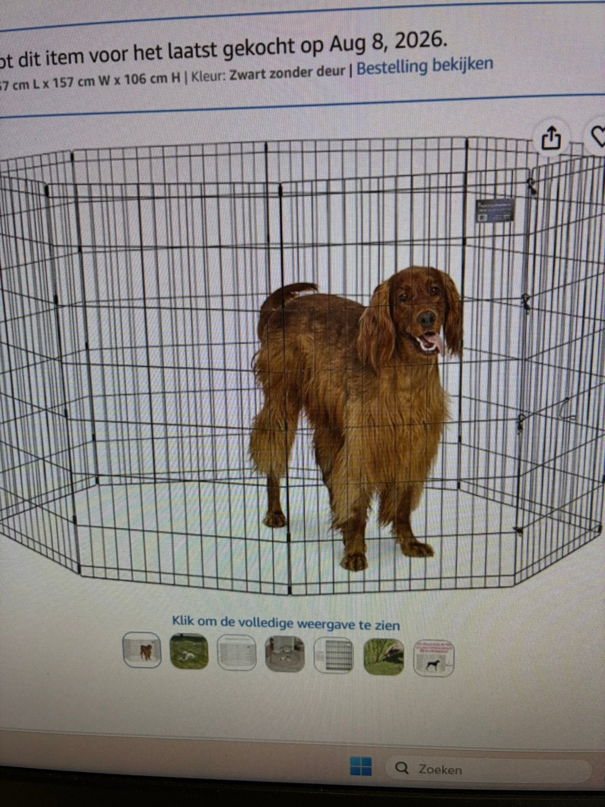 Puppy ren, Dieren en Toebehoren, Ophalen, Zo goed als nieuw