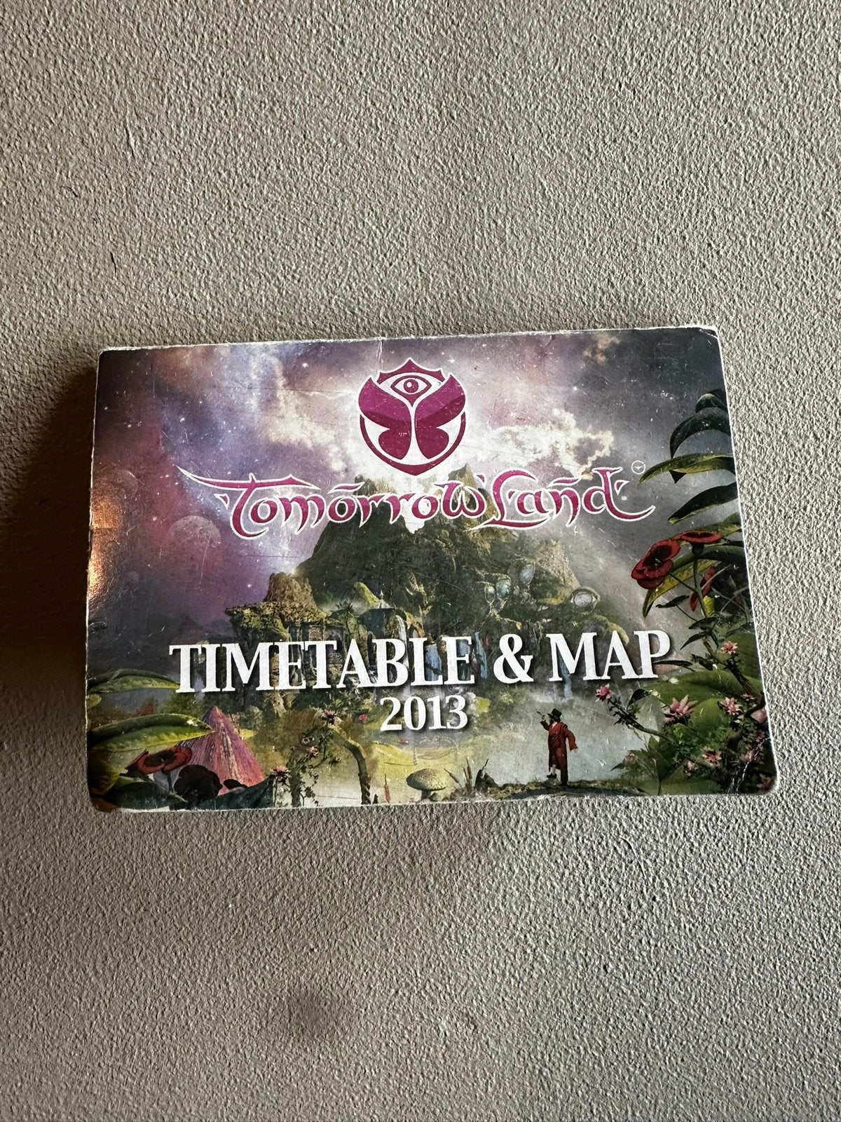 Tomorrowland 2013, Enlèvement ou Envoi, Utilisé