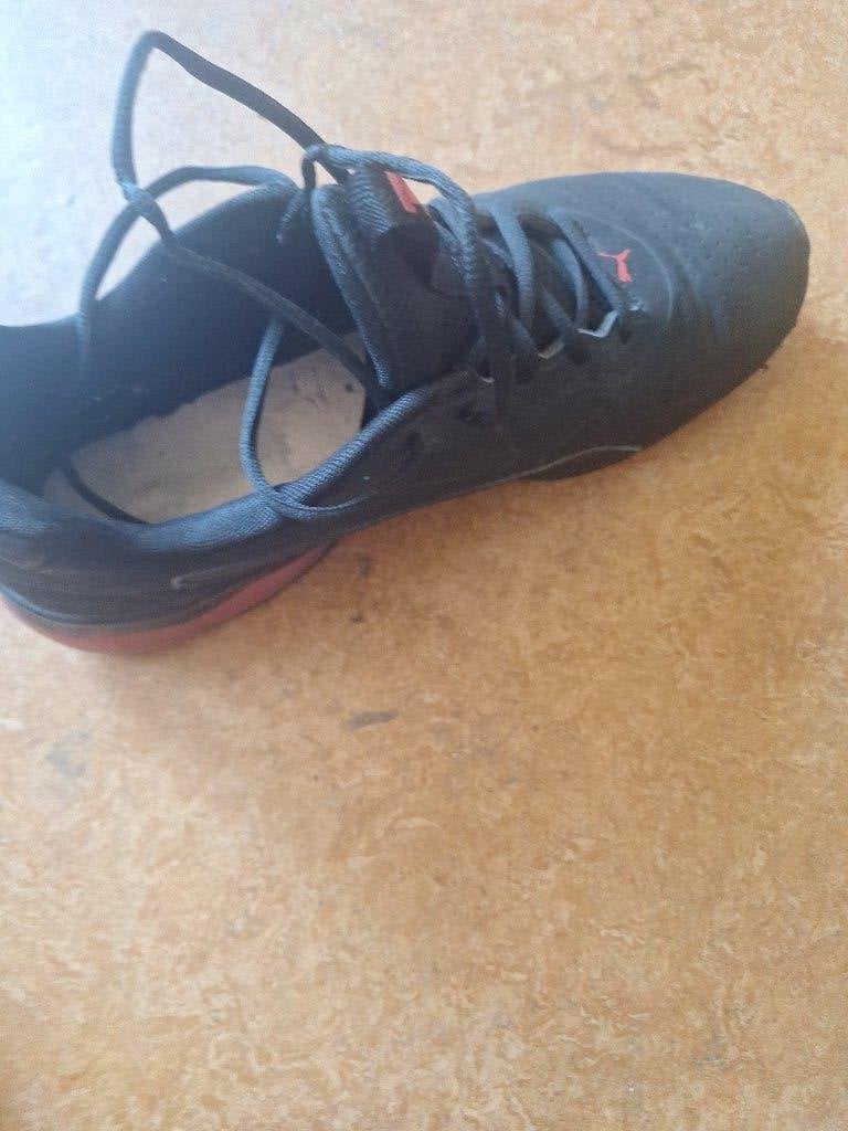 Puma sport schoen heren, Vêtements | Hommes, Chaussures, Puma, Autres couleurs, Enlèvement, Porté