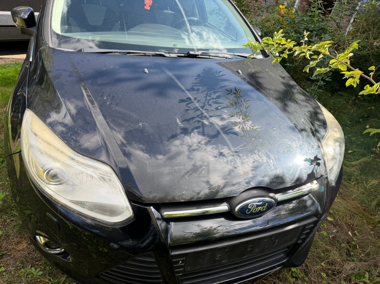 Ford focus 1.6 essence probleme de demarage, Auto-onderdelen, Overige Auto-onderdelen, Ophalen, Ford