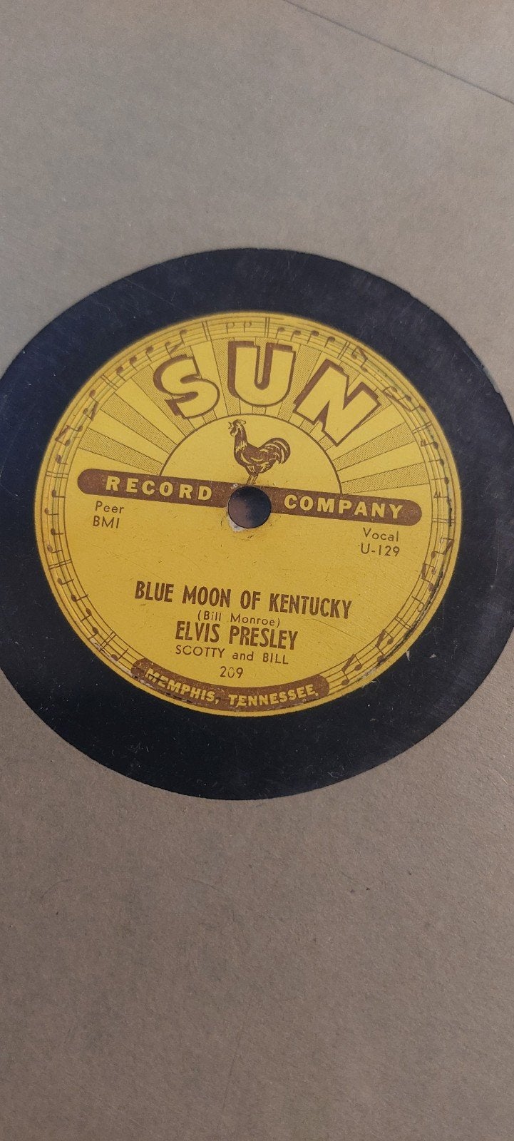 Elvis Presley juli 1954 sun 209, Cd's en Dvd's, Ophalen, 10 inch