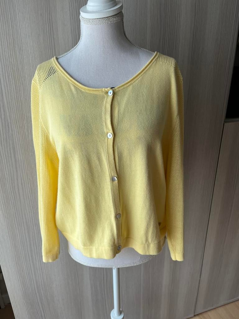 Gele fijne kwaliteitsvolle gilet van Bianca, Kleding | Dames, Ophalen of Verzenden, Zo goed als nieuw, Maat 38/40 (M)