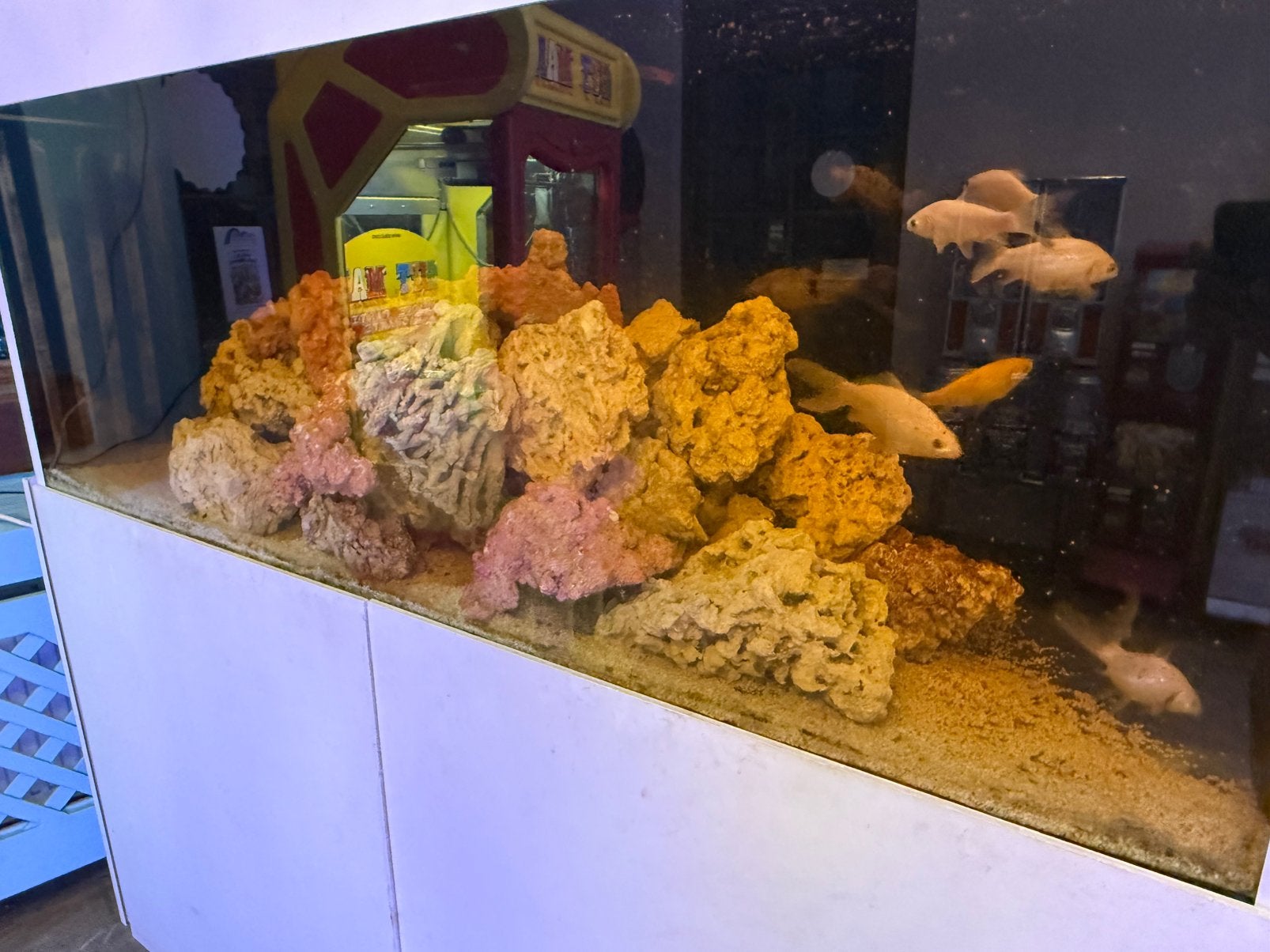 Aquarium marin, Animaux & Accessoires, Enlèvement ou Envoi, Pompe, Comme neuf